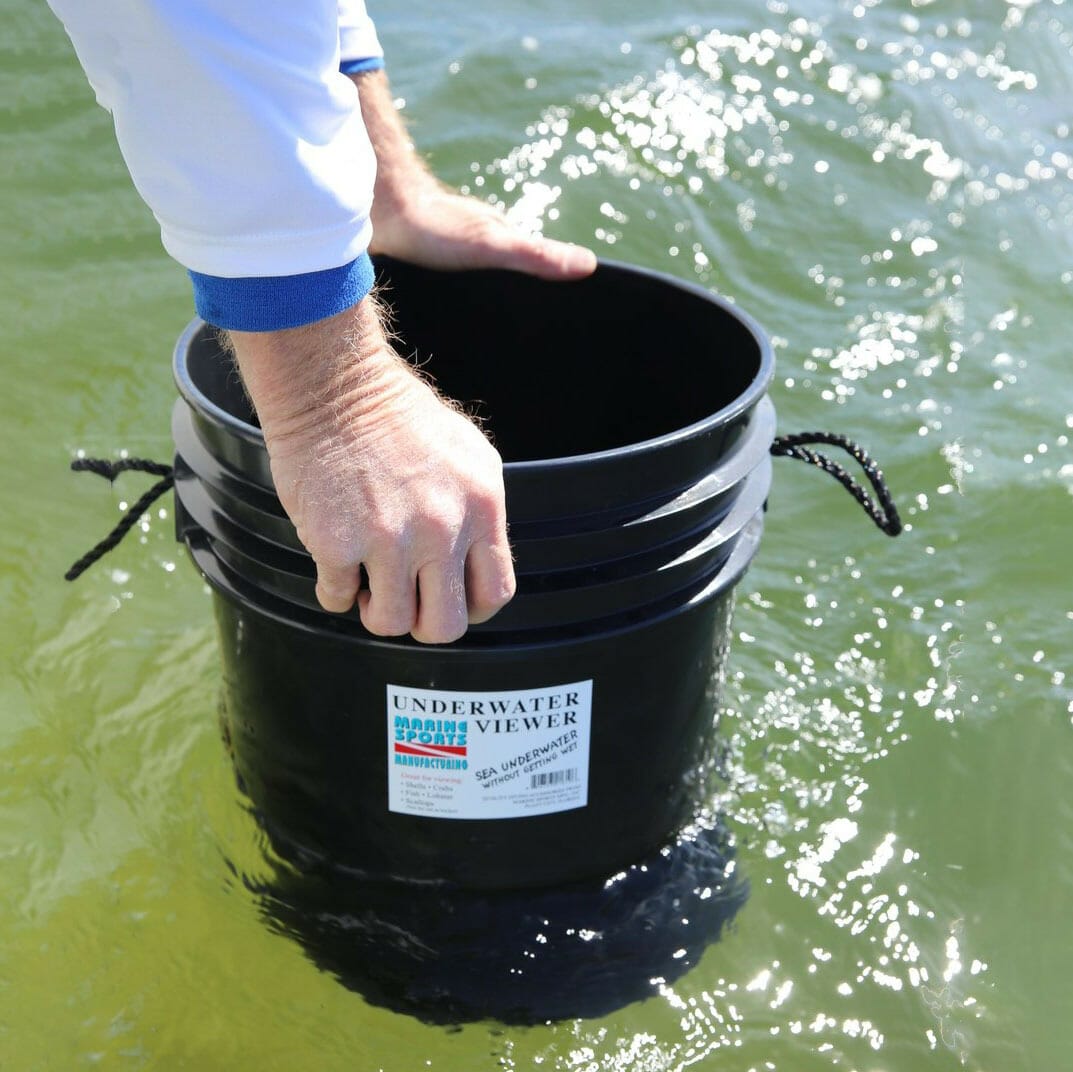 Water Bucket with Lid Transparent Fishing Bucket Water Storage